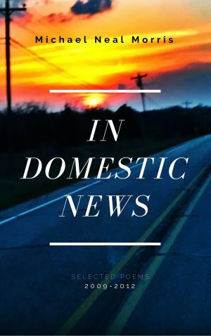 Book cover of In Domestic News