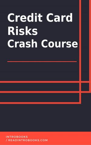 bigCover of the book Credit Card Risks Crash Course by 