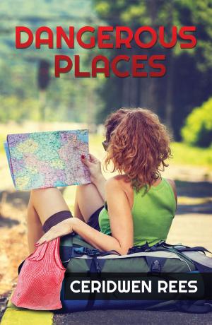 Cover of the book Dangerous Places by Fredric L. Rice