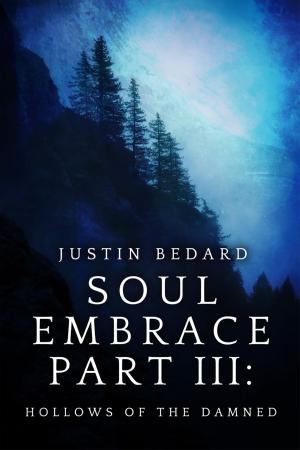 Cover of the book Soul Embrace Part III: Hollows of the Damned by J. David Core