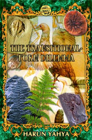 Book cover of The Transitional Form Dilemma