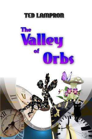 bigCover of the book The Valley of Orbs by 