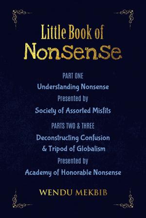 Cover of the book Little Book of Nonsense by David Burt