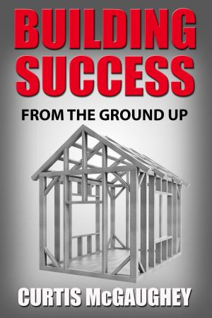 bigCover of the book Building Success from the Ground Up by 