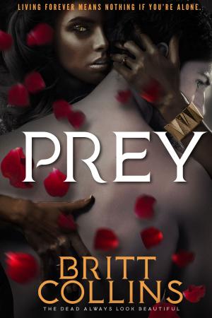 Cover of the book Prey by Mimi Jean Pamfiloff
