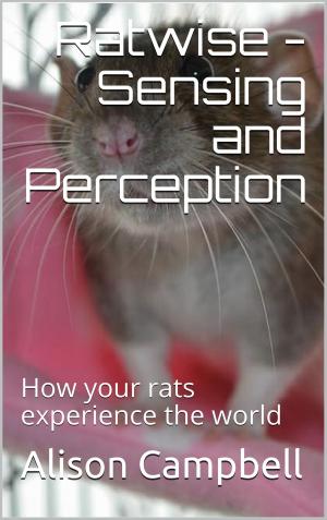 Book cover of Ratwise - Sensing and Perception (How your rats experience the world)