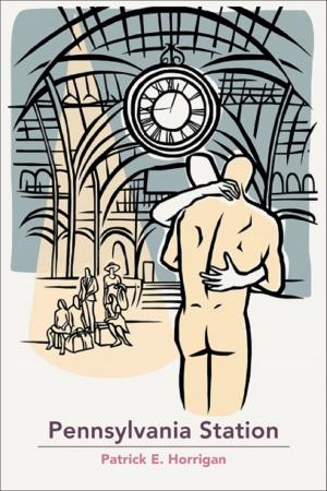 Cover of the book Pennsylvania Station by Steve Berman
