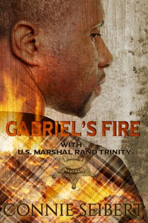 Book cover of Gabriel's Fire