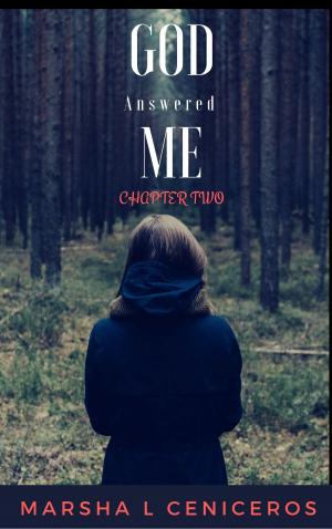 Cover of the book God Answered Me: Chapter Two by 