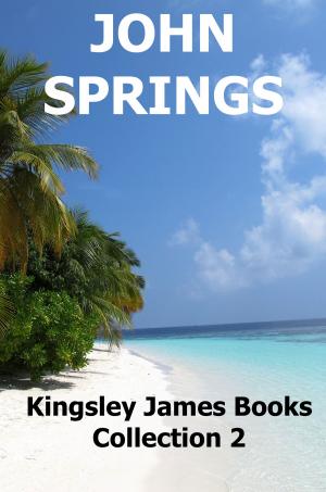 Book cover of Kingsley James Books: Collection 2