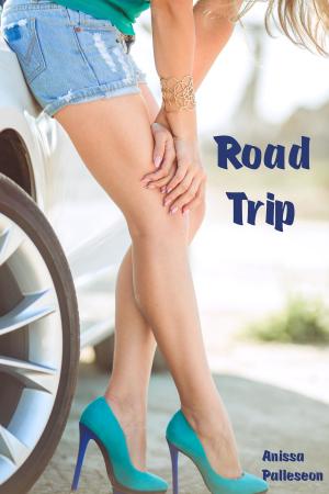 Cover of the book Road Trip by Anissa Palleson
