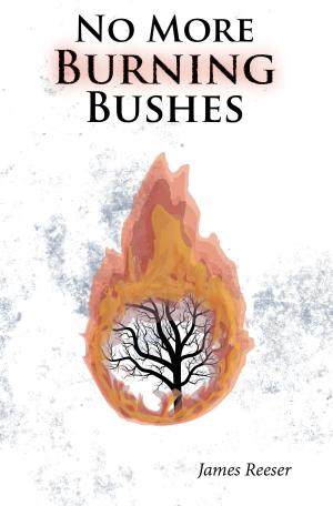 Cover of the book No More Burning Bushes by tiaan gildenhuys