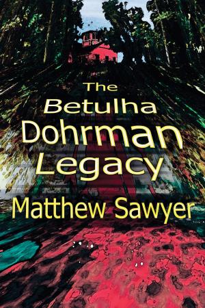 Cover of the book The Betulha Dohrman Legacy by Mr. Binger