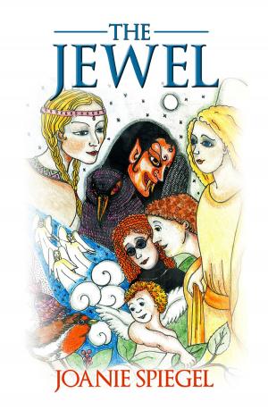 Cover of the book The Jewel by Satish Gupta
