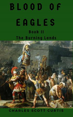 Book cover of Blood of Eagles #2: The Burning Lands