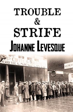 Cover of the book Trouble and Strife by Joseph J. Pitarella