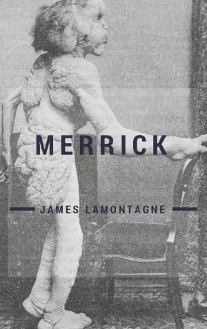 Cover of the book Merrick by Gemma Cooper-Novack