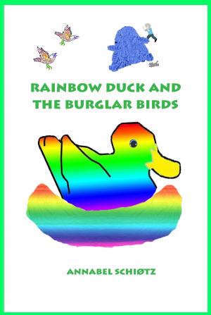 Cover of the book Rainbow Duck and the Burglar Birds by J.C.Blumen Violett