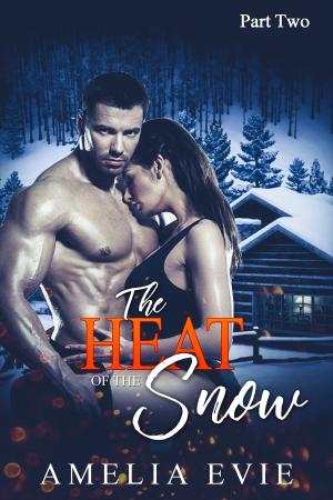 Cover of the book The Heat Of The Snow Part Two: Allie's Tale by Gloria Jean Kanda