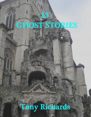 Book cover of 13 Ghost Stories