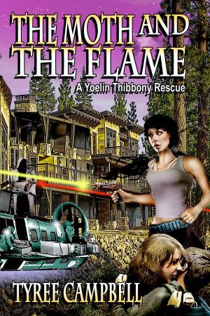 Cover of the book The Moth and the Flame: A Yoelin Thibbony Rescue by J Alan Erwine