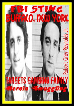 Cover of the book FBI Sting Buffalo, New York Targets Gambino Family Heroin Smuggling by Leonardo Rinella