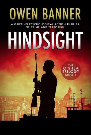 Cover of the book Hindsight by Collin Cheng, Charlie Cheng