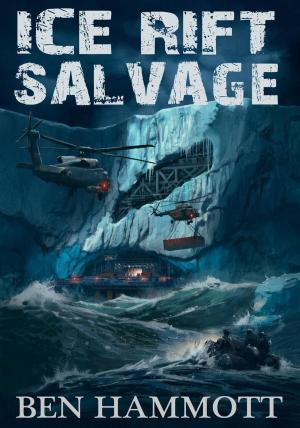 Book cover of Ice Rift - Salvage