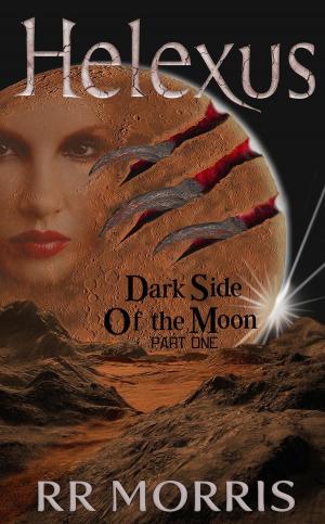 Cover of the book Dark Side of the Moon by William D. Gibson