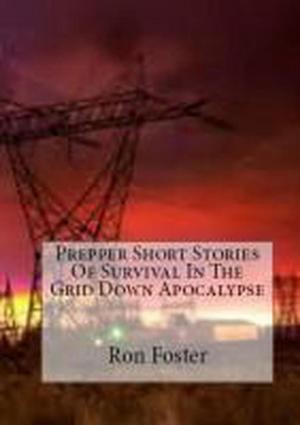 Book cover of Prepper Short Stories Of Survival In The Grid Down Apocalypse