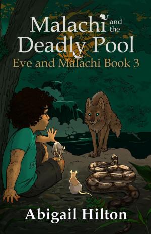 bigCover of the book Malachi and the Deadly Pool by 