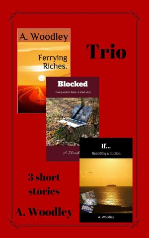 bigCover of the book Trio by 