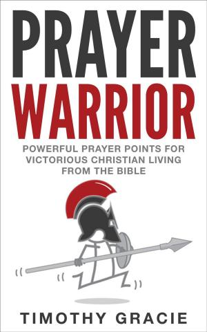 Book cover of Prayer Warrior: Powerful Prayer Points For Victorious Christian Living From The Bible