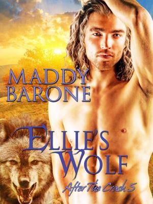 Cover of the book Ellie's Wolf by Kestra Pingree