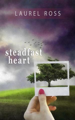 Cover of the book Steadfast Heart by Devon Hartford