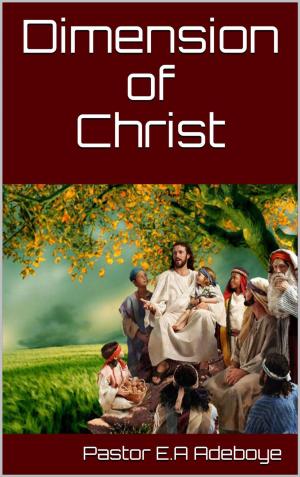 Cover of Dimension of Christ
