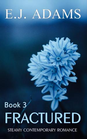 Book cover of Fractured Book 3