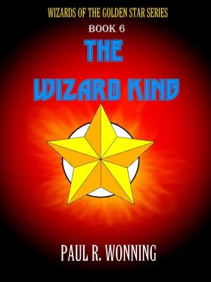 Cover of the book The Wizard King by Abe Edwards