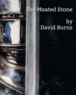 Cover of The Moated Stone