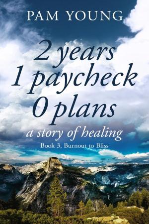 Book cover of 2 Years 1 Paycheck 0 Plans