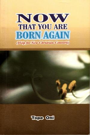 Book cover of Now That You Are Born Again (Help for New Christian Converts)