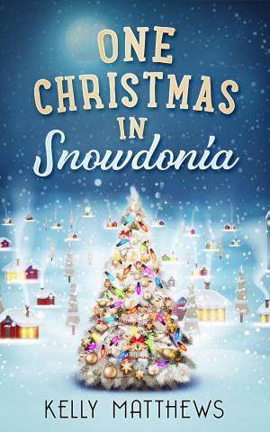 bigCover of the book One Christmas in Snowdonia by 