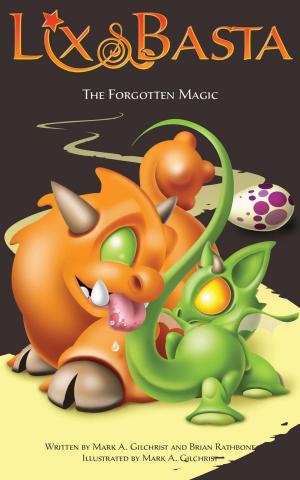 Book cover of The Forgotten Magic