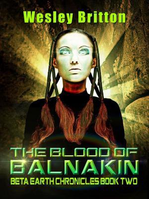 Cover of the book The Blood of Balnakin — The Beta Earth Chronicles: Book Two by Stanley Dyrector