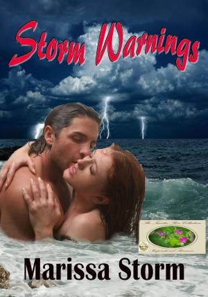 Cover of the book Storm Warnings by Maxine Murphy