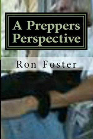 Book cover of A Preppers Perspective