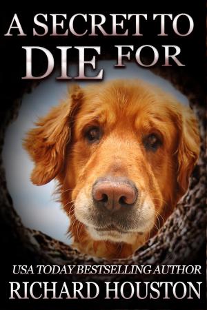 Cover of the book A Secret to Die For by Shaun Tennant