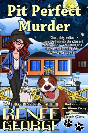 Cover of the book Pit Perfect Murder by Raquel Martin