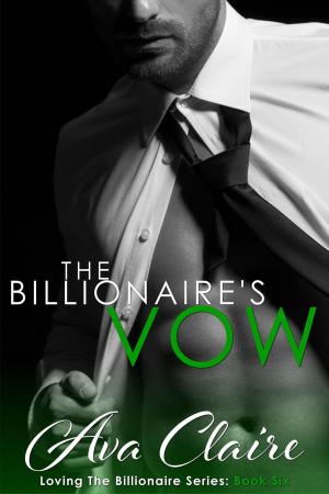 Cover of the book The Billionaire's Vow by David Harris Ebenbach