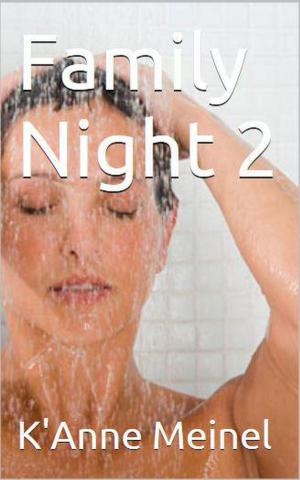 Book cover of Family Night 2